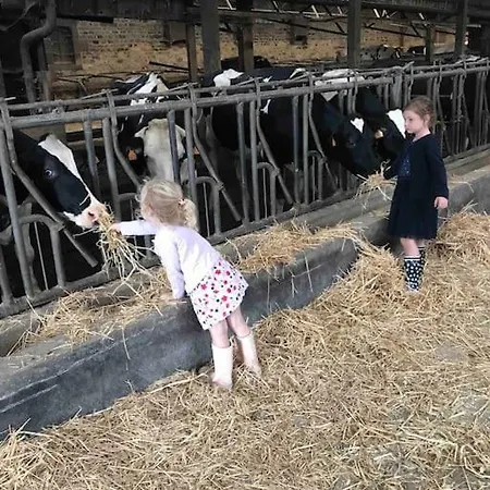 Ferme Cidricole Et Laitiere Magny-le-Desert
