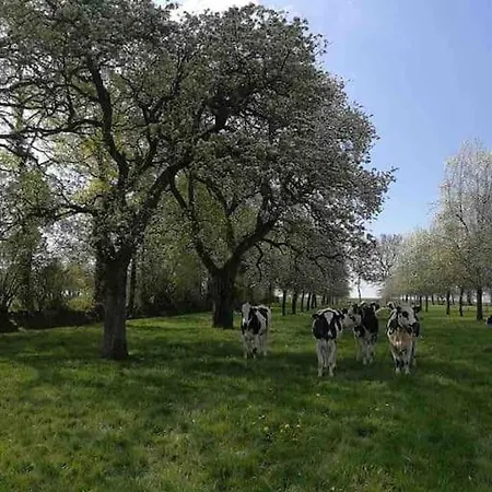 Ferme Cidricole Et Laitiere *