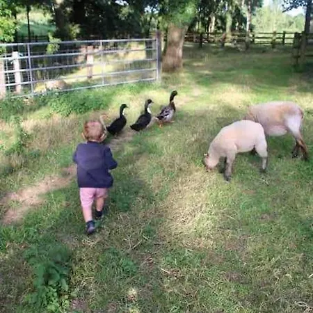 Ferme Cidricole Et Laitiere * Magny-le-Desert